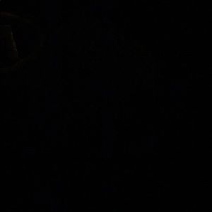 Meet your Posher, Tamara